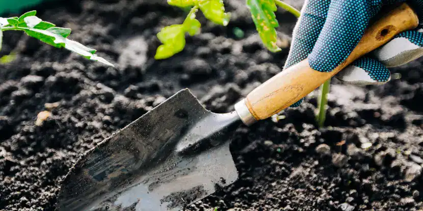 A gardener works the soil with a trowel