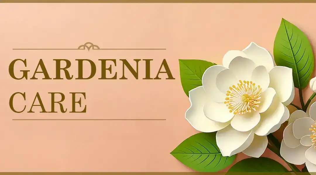 Best Practices for Gardenia Care in Southern California