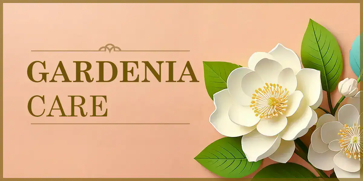 Gardenia Care