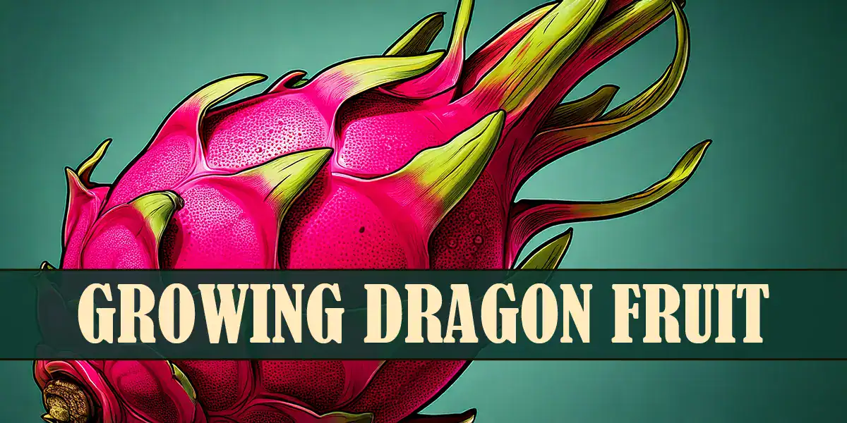 Growing Dragon Fruit