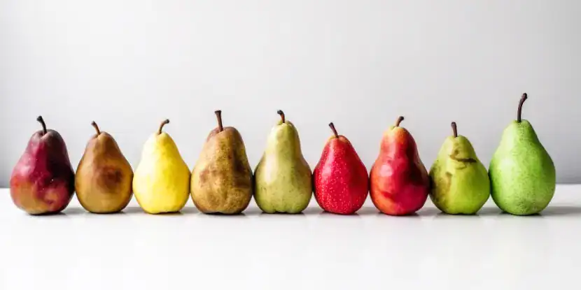 Pear varieties