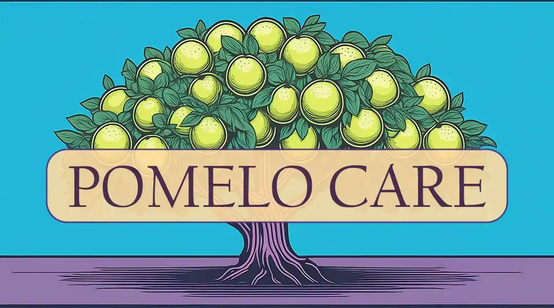 Pomelo Care 101: Your Grapefruit Tree Cousin on Steroids