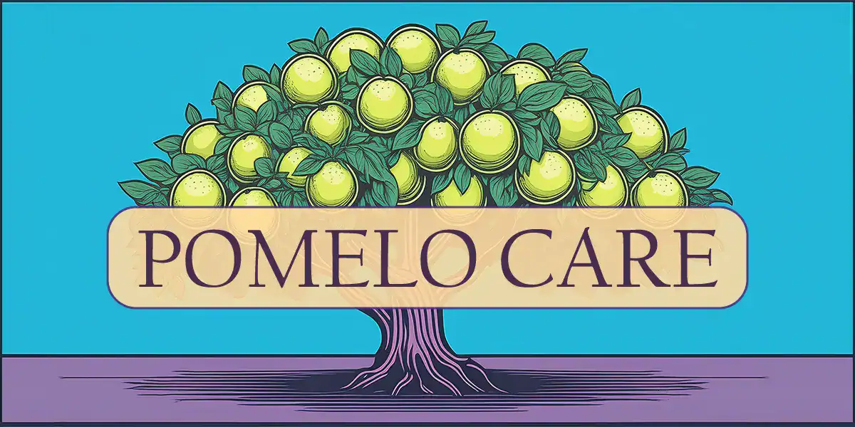Pomelo Tree Care