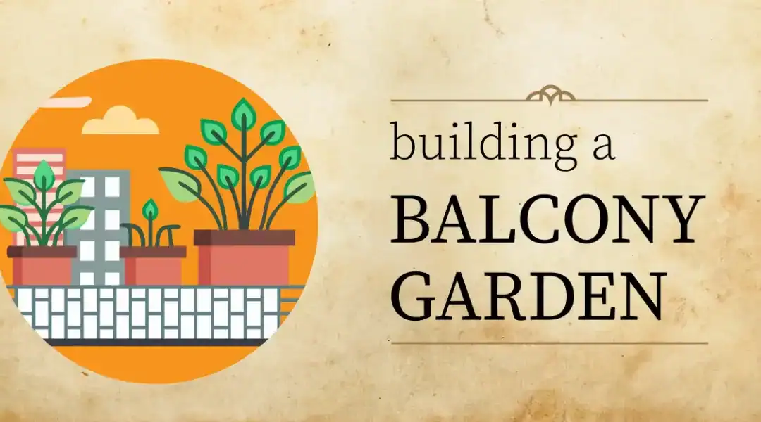 3 Easy Balcony Garden Ideas: A Guide for Apartment Dwellers