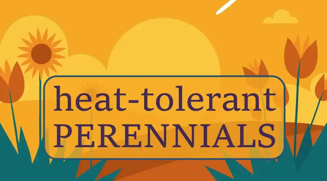 30 Heat-Tolerant Perennials for Your Southern California Landscape