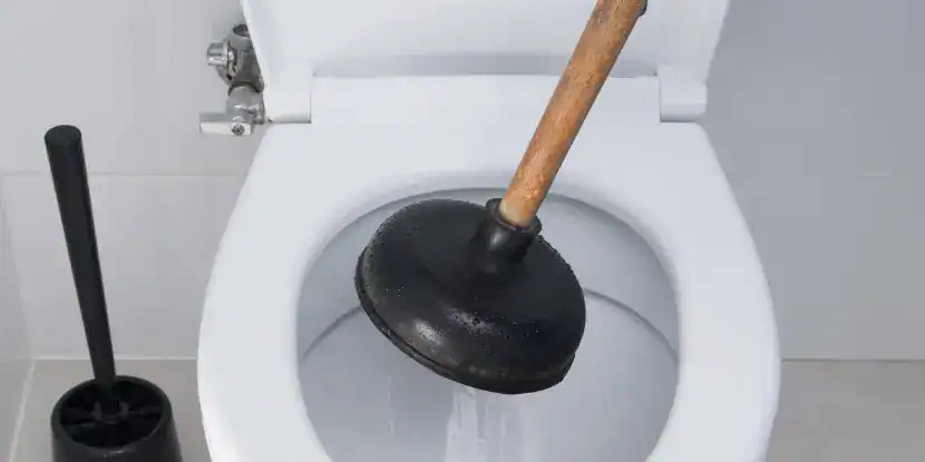 Plunging a toilet