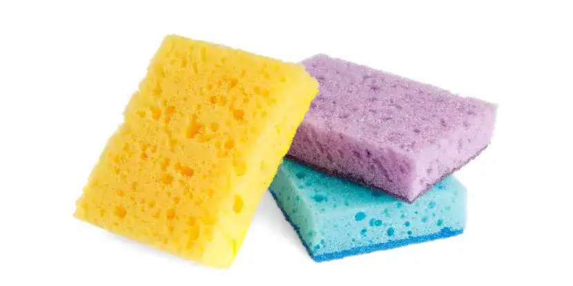 Sponges
