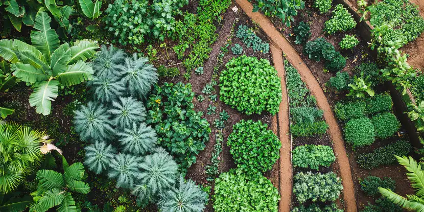 A foodscape in Malaysia