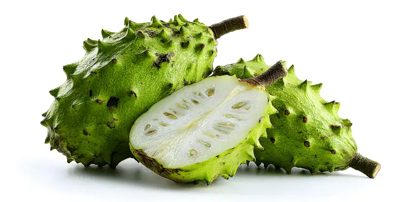 Prickly cherimoya