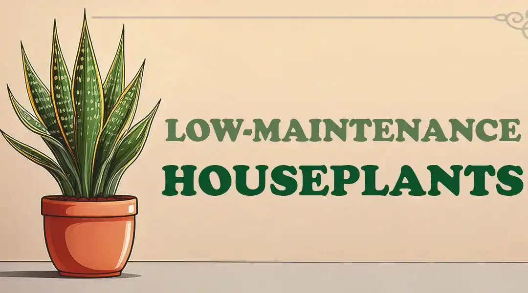 14 Low-Maintenance Houseplants That Thrive on Neglect