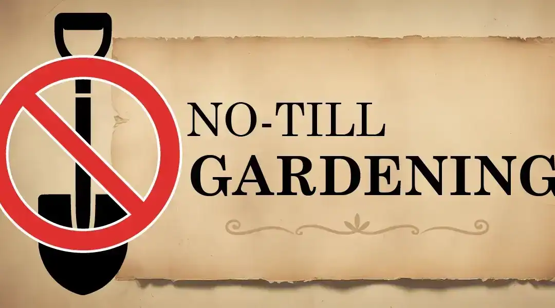 No-Till Gardening Methods for Southern California Planters