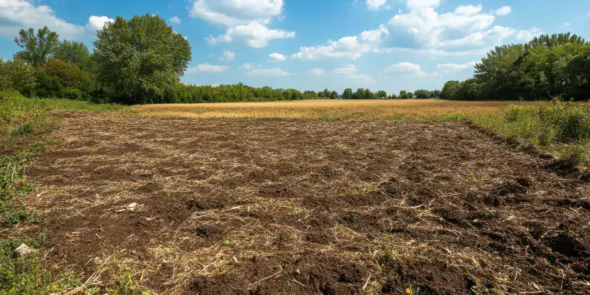 A no-till agricultural field