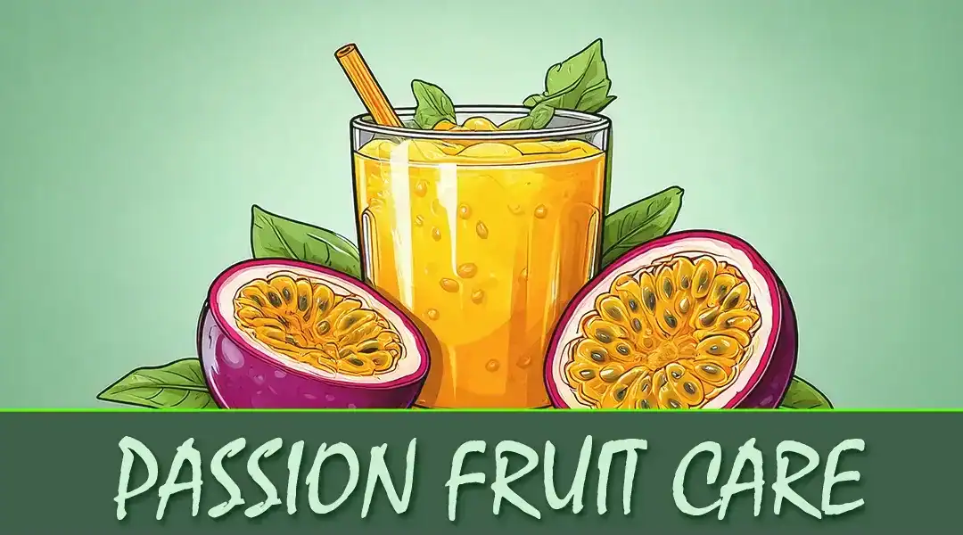 Passion Fruit Plant Care in Southern California