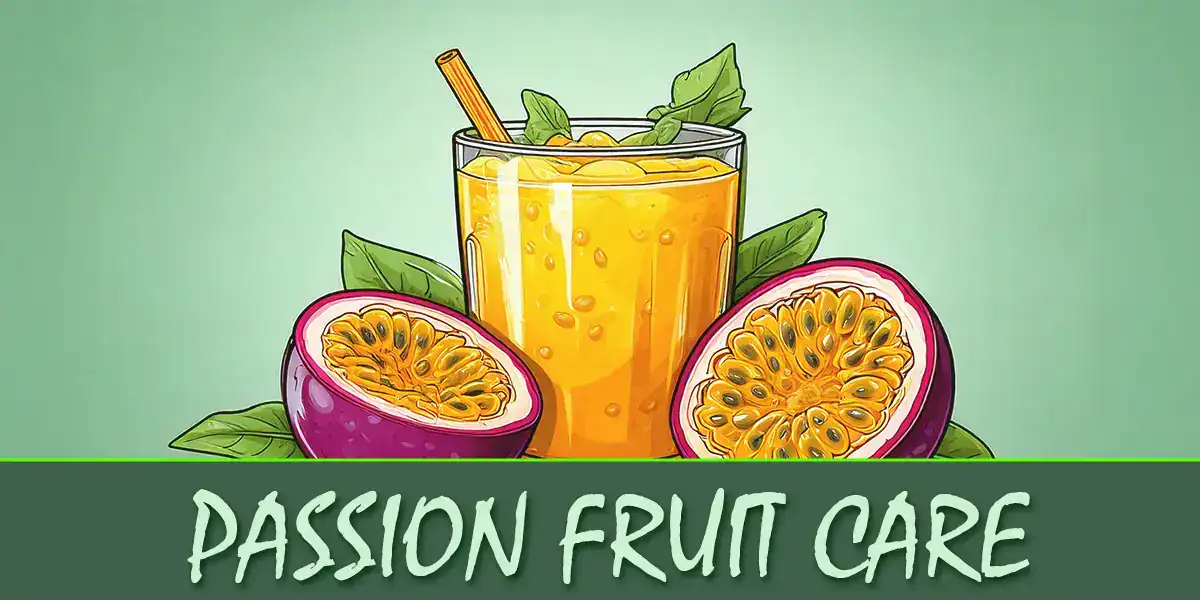 Passion Fruit Plant Care