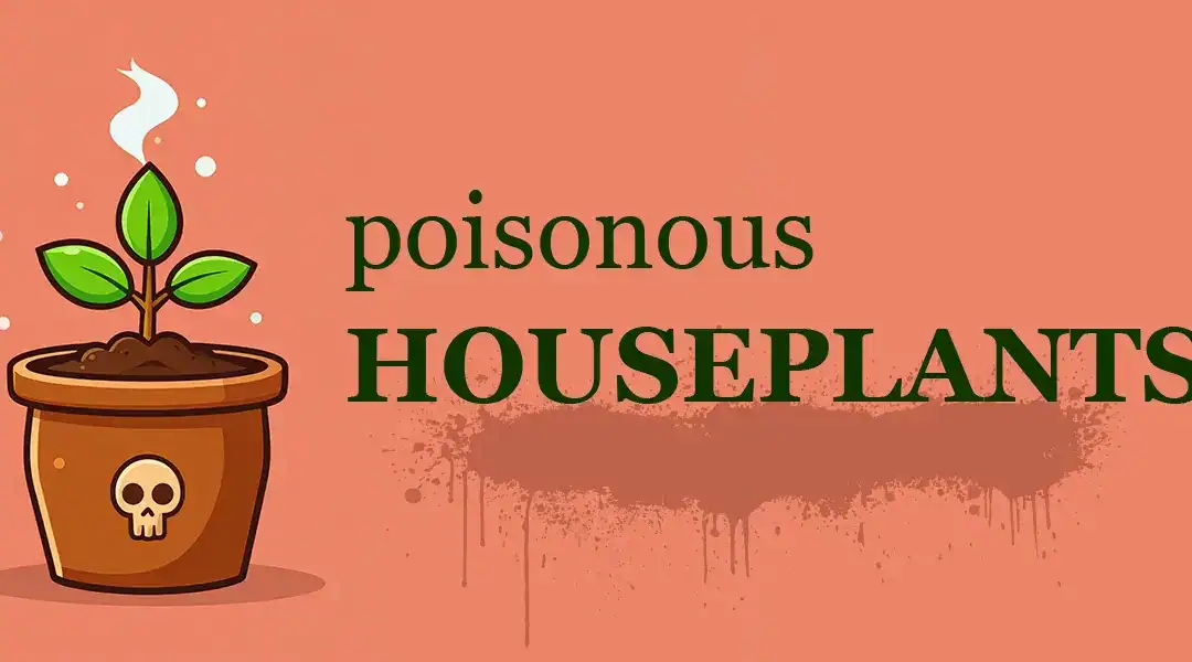 16 Poisonous Houseplants to Avoid If You Have Chew-Happy Pets or Toddlers