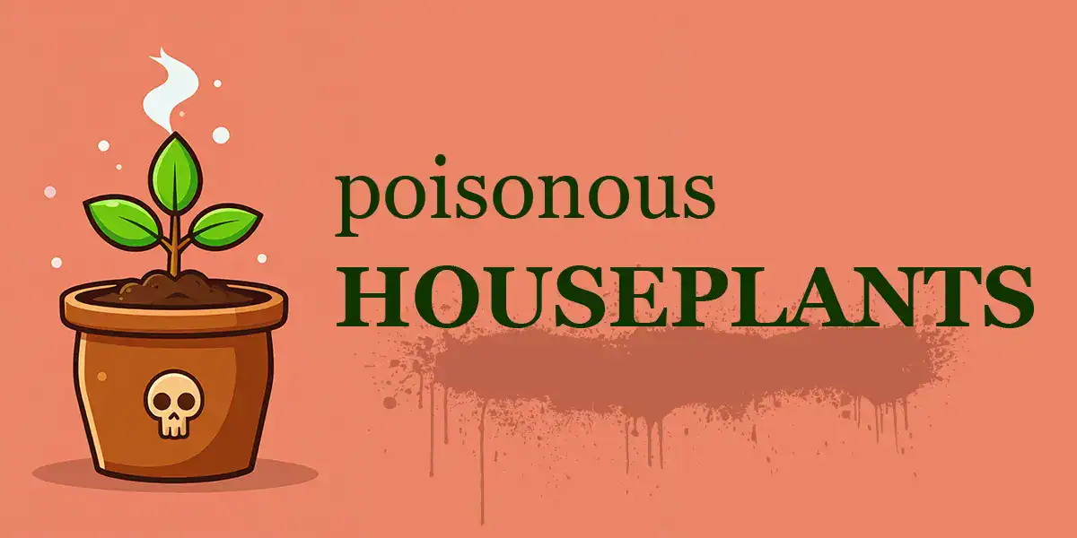 Poisonous Houseplants