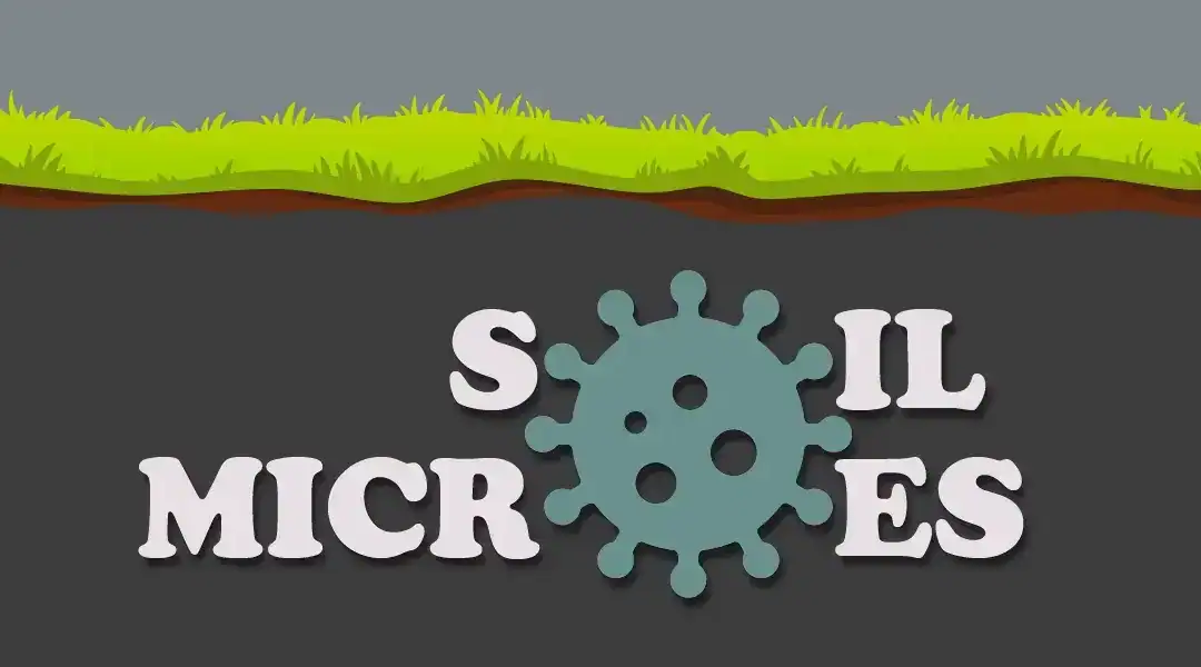What Are Soil Microbes & What Do They Do?