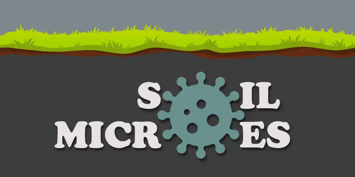What Are Soil Microbes?