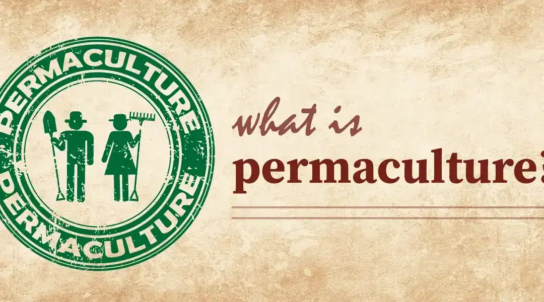 What Is Permaculture Gardening & Why Is It a “Growing” Trend?