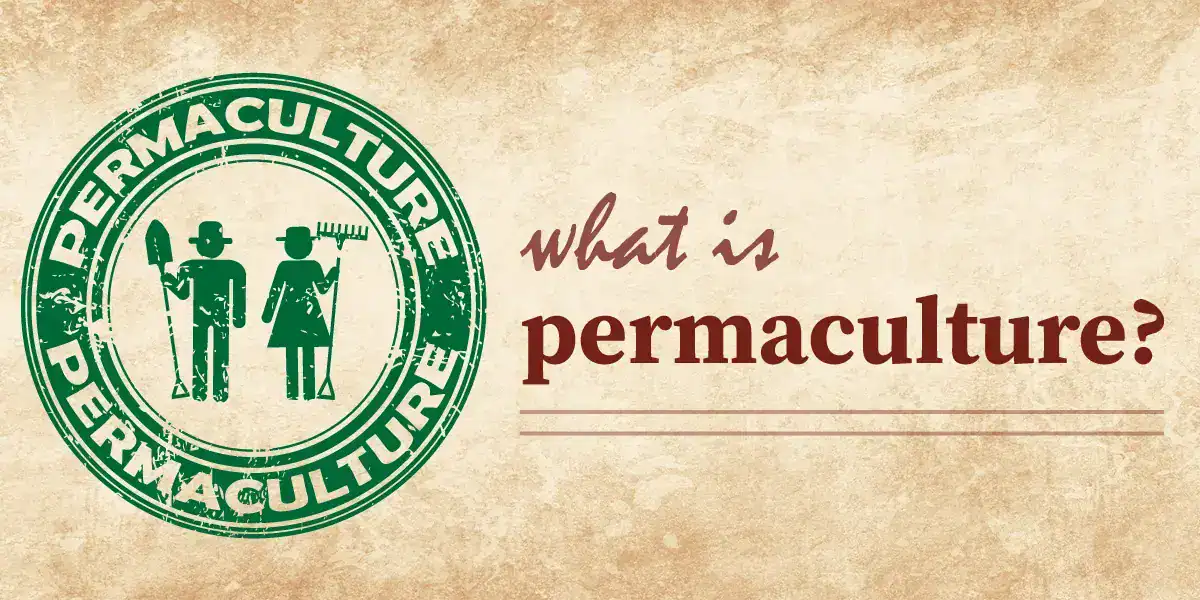 What Is Permaculture