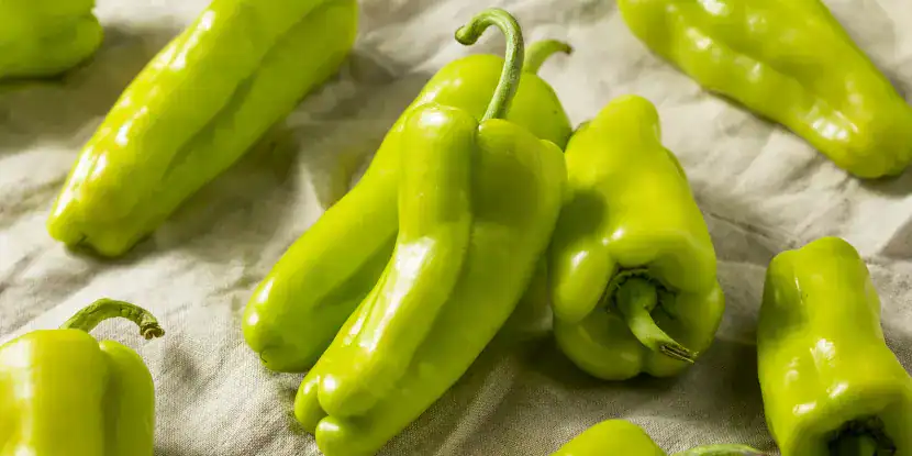 Cubanelle Peppers