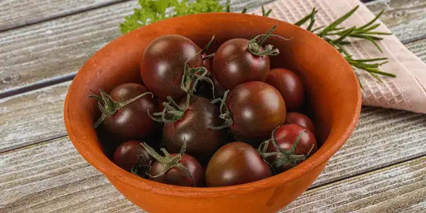Black Cherry tomatoes in a bowl