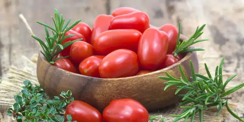 Freshly harvested Mini Roma tomatoes