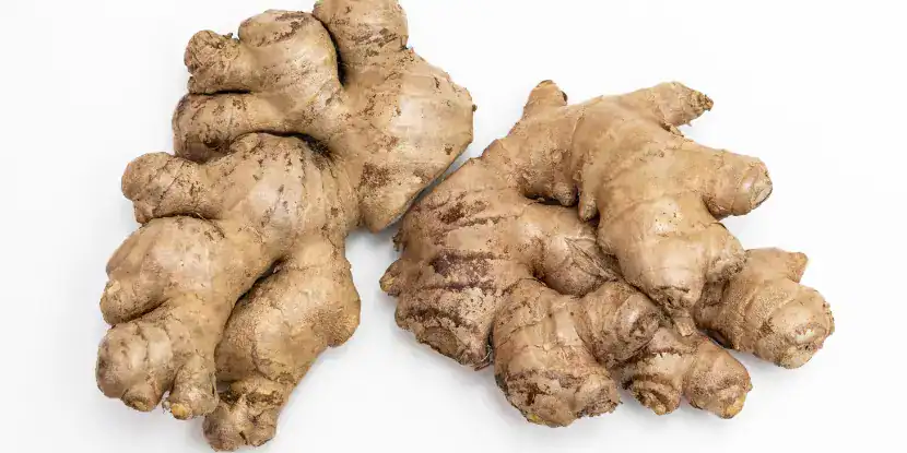Ginger rhizomes