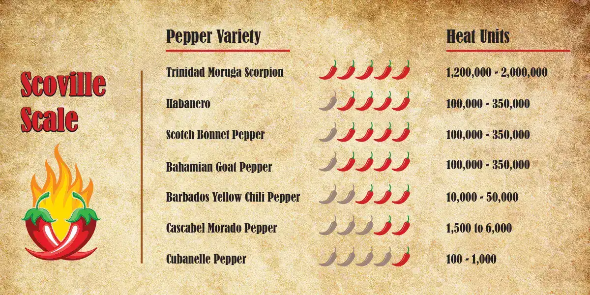 The Scoville scale for Caribbean peppers