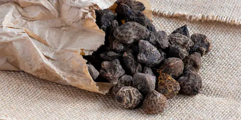 Anemone tubers ready for planting