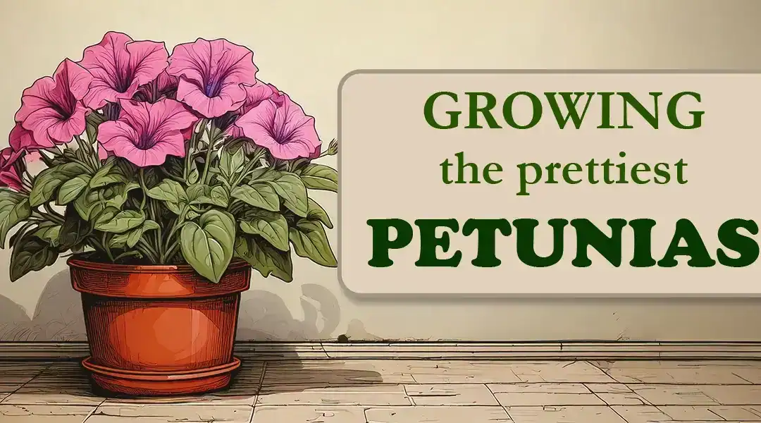 Your Guide to Growing SoCal’s Prettiest Petunias