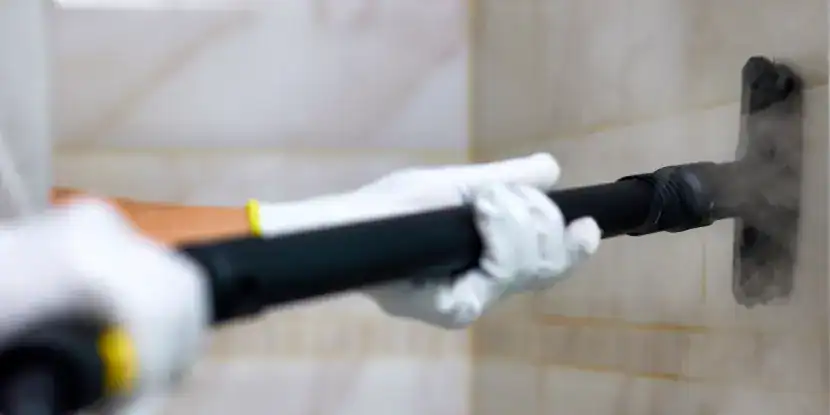 A steam cleaner can also sanitize hard surfaces