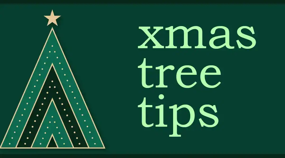 8 Tips to Keep Your Cut Christmas Tree Fresh