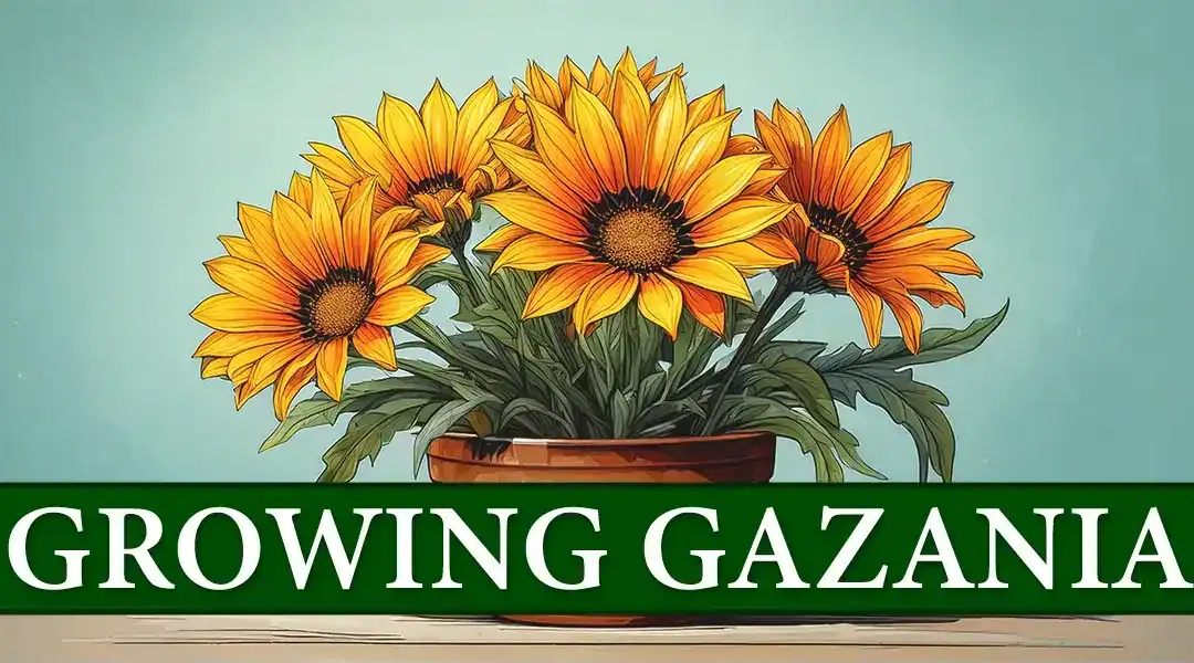 How to Grow Gazania from Seed: A Step-by-Step Guide