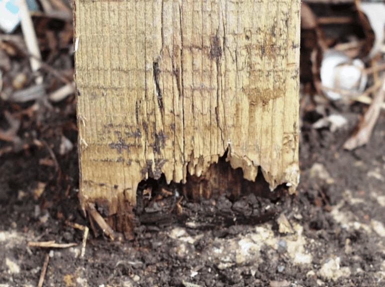 Why Wood Fence Post Rot Happens at Ground Level
